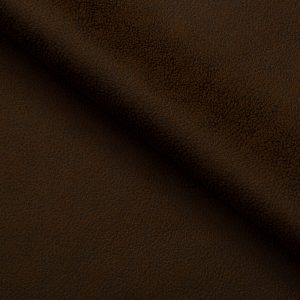 SAHARA 31