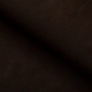 SAHARA 36