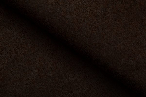 SAHARA 36